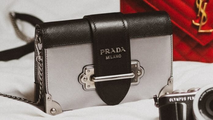 the epitome of elegance discover the enchanting world of the luxury collection.jpg