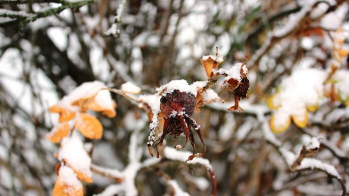 the ultimate guide to exquisite experiences exploring the world of luxury collection.jpg