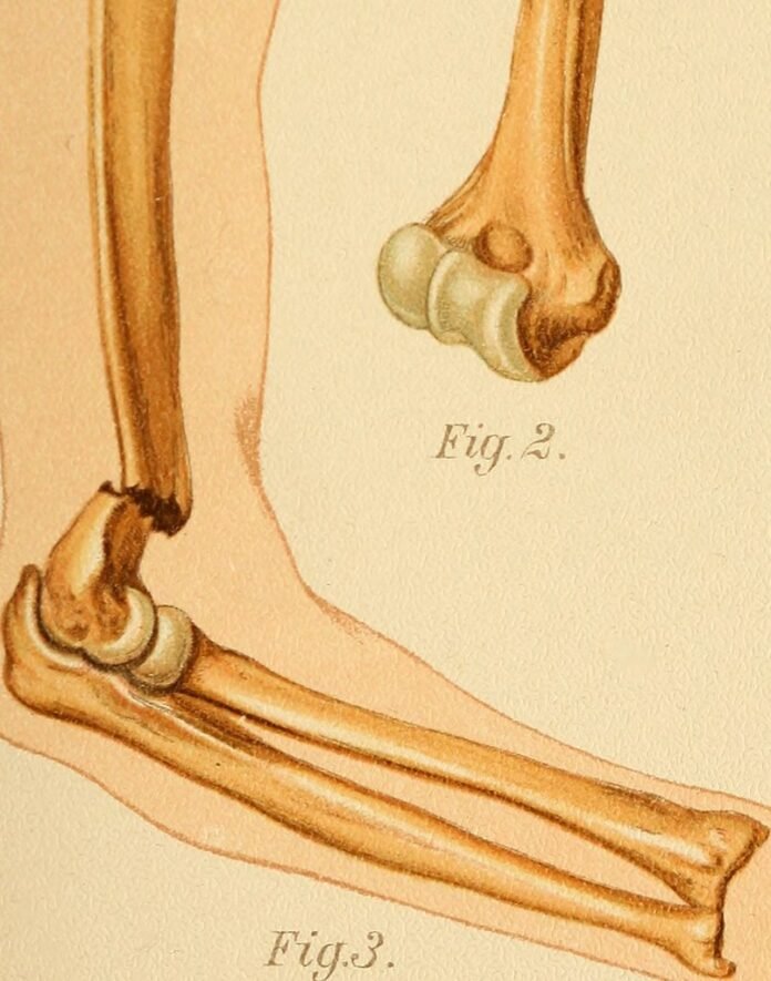 the epitome of elegance exploring the unmatched luxury collection.jpg the epitome of elegance exploring the unmatched luxury collection.jpg