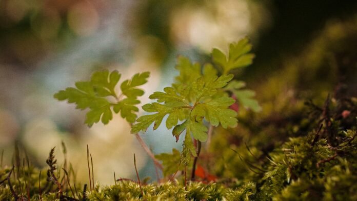 unlocking the secrets to earning and managing wealth exquisite insights for your luxury finance journey.jpg