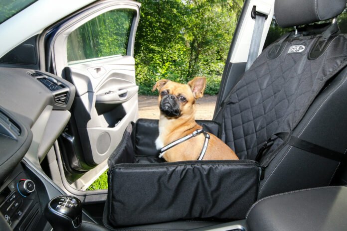 the posh paws chronicles exploring the world of luxury pets.jpg the posh paws chronicles exploring the world of luxury pets.jpg