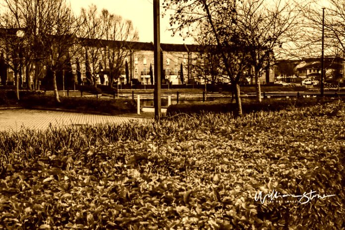 the ultimate guide to experiencing opulence unveiling the dreamscape of the luxury collection.jpg