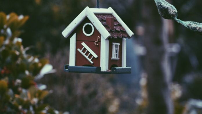 mastering real estate insider tips and techniques for success in the industry.jpg mastering real estate insider tips and techniques for success in the industry.jpg