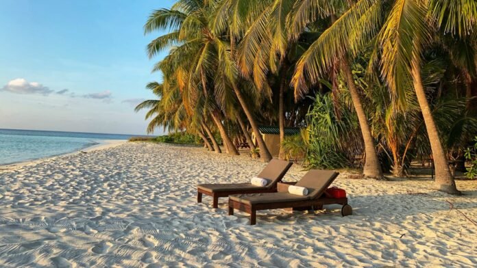 the epitome of elegance unveiling the creme de la creme a luxury collection blog.jpg the epitome of elegance unveiling the creme de la creme a luxury collection blog.jpg