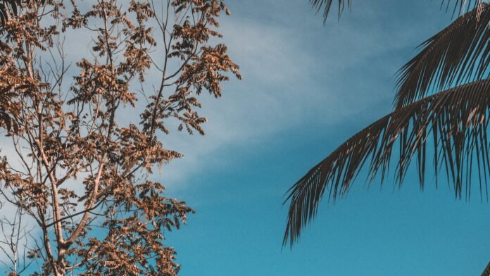 the ultimate guide to exquisite luxury discover the world of the luxury collection.jpg the ultimate guide to exquisite luxury discover the world of the luxury collection.jpg