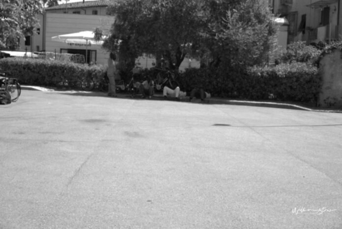 the epitome of opulence exploring the world of luxury collections.jpg the epitome of opulence exploring the world of luxury collections.jpg