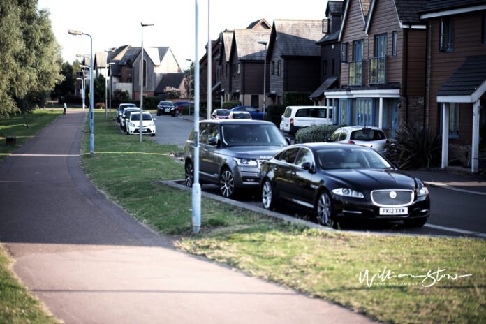 indulge in opulence exploring the allure of the luxury collection.jpg indulge in opulence exploring the allure of the luxury collection.jpg